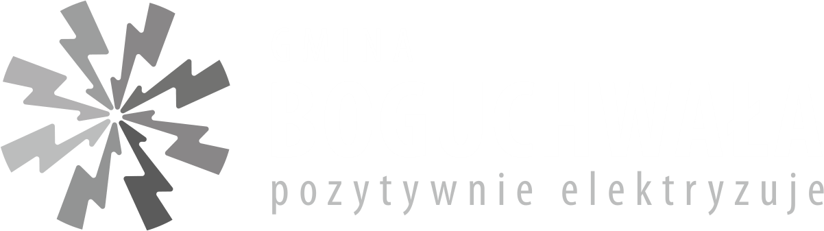 Logo smart.boguchwala.pl